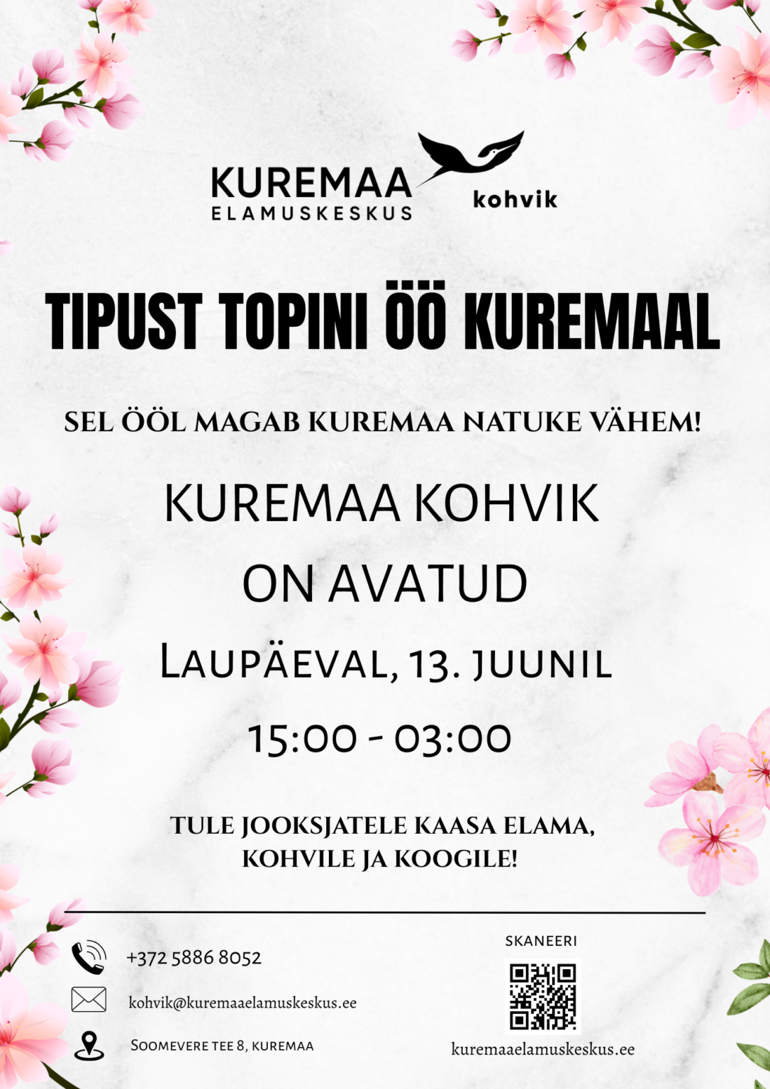 Kuremaakohvik_tipusttopini